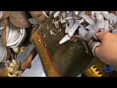 Coconut Water Processing Machine / Almond Milk Production Line / Fruit Juice Processing