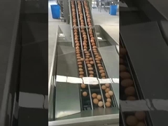 Máy bẻ trứng loại dọc