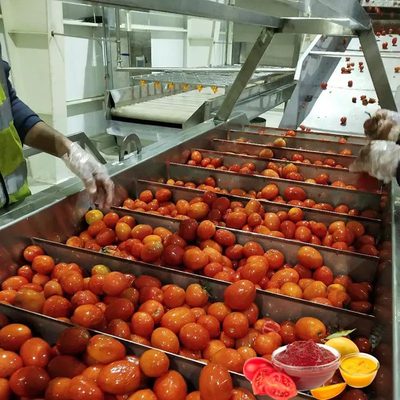 Sản xuất cà chua tùy chỉnh hoàn chỉnh bán nóng Máy chế biến cà chua / nước ép cà chua / nước sốt / bột với PLC SUS304 / 316