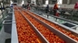 Dây chuyền sản xuất bột cà chua Ketchup Hiệu suất cao 1000kg / H