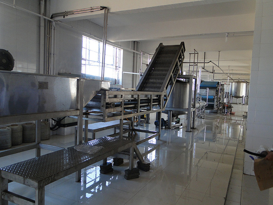 Sản phẩm sản xuất rau củ / rau củ / dưa chuột thiết bị tùy chỉnh cho ngành công nghiệp rau