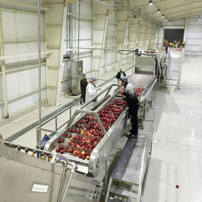 Chi phí cao hiệu suất hoàn chỉnh Pear Processing Line tùy chỉnh Apple / Pear Production Plant Pear Juice Equipment Pear Pulp Machine