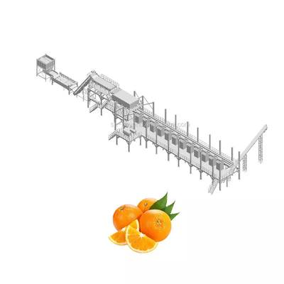 Tất cả tự động tùy chỉnh Máy nước cam Máy chế biến nước trái cây hoàn chỉnh Máy chế biến trái cây