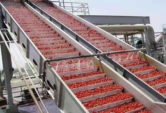 Đường xử lý việt quất tùy chỉnh hiệu suất cao Nhà máy sản xuất việt quất / dâu tây / dâu tây nước trái cây việt quất / bột / kẹo máy với PLC