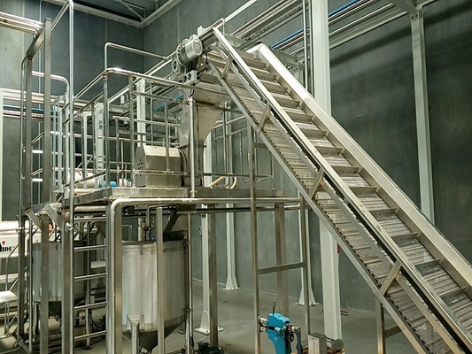 Máy chế biến nước trái cây xoài tùy chỉnh chất lượng cao Nhà máy sản xuất nước trái cây xoài/Dòng chế biến xoài Sus304/316