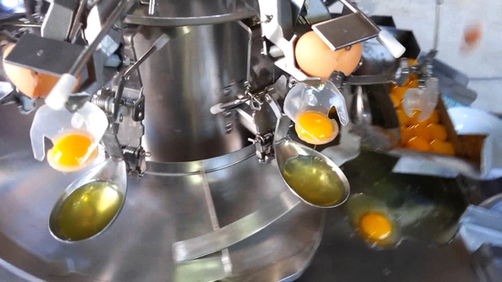 Nhà máy tự động giặt trứng phá trứng chất lỏng pasteurization làm máy