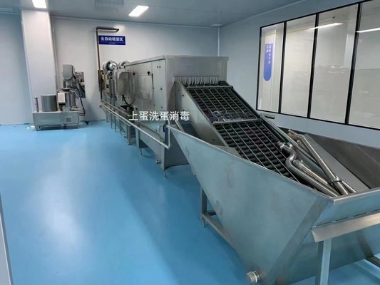 Nhà máy chế biến trứng lỏng với máy bơm và tách Pasteurizer
